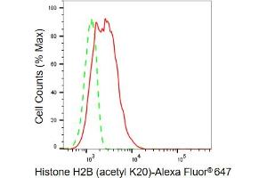 Flow cytometric analysis of Histone H2B (acetyl K20) expression in C2C12 cells using Histone H2B (acetyl K20) antibody (ABIN7798944), 1:2,000). (Recombinant Histone H2B anticorps  (H2BK20ac))