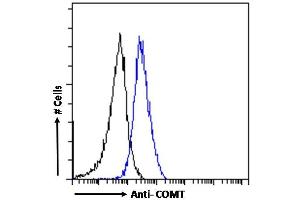 (ABIN185328) Flow cytometric analysis of paraformaldehyde fixed A431 cells (blue line), permeabilized with 0. (COMT anticorps  (N-Term))
