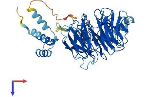 AlphaFold protein structure predicition of Mouse Recombinant Cstf1 Protein, UniprotID Q99LC2