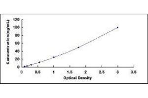 Desmoglein 1 (DSG1) ELISA Kit