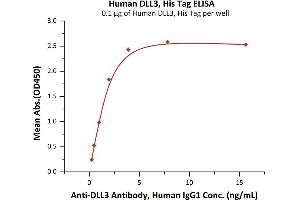Immobilized Human DLL3, His Tag (ABIN6731288,ABIN6809864) at 1 μg/mL (100 μL/well) can bind A Antibody, Human IgG1 with a linear range of 0.