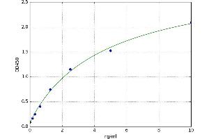 Nucleoporin 160kDa (NUP160) ELISA Kit