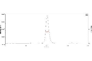 The purity of Biotinylated 2019-nCoV (COVID-19) S protein RBD, His,Avitag (MALS verified) ( ABIN6952456) was more than 90% in HP-SEC, and around 45-55 kDa verified by SEC-MALS.