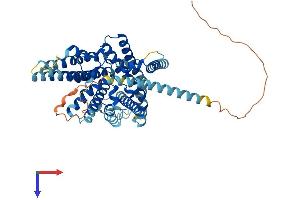 AlphaFold protein structure predicition of Human Recombinant SOAT2 Protein, UniprotID O75908