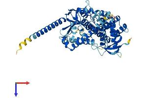 AlphaFold protein structure predicition of Human Recombinant CYP4X1 Protein, UniprotID Q8N118
