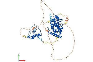 AlphaFold protein structure predicition of Human Recombinant RXRA Protein, UniprotID P19793