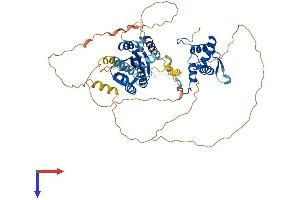 AlphaFold protein structure predicition of Mouse Recombinant Eme1 Protein, UniprotID Q8BJW7