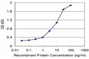 Detection limit for recombinant GST tagged SFN is approximately 0.