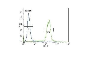 B2M Antibody (N-term) (ABIN389258 and ABIN2839396) flow cytometric analysis of Hela cells (right histogram) compared to a negative control cell (left histogram).