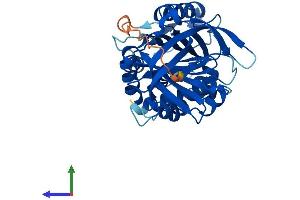 AlphaFold protein structure predicition of Human Recombinant SERPINB9 Protein, UniprotID P50453