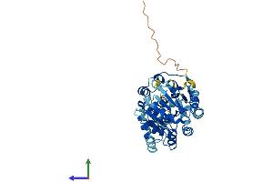 AlphaFold protein structure predicition of Mouse Recombinant Eif4a2 Protein, UniprotID P10630