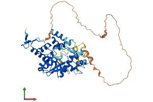 AlphaFold protein structure predicition of Mouse Recombinant Ctu1 Protein, UniprotID Q99J10
