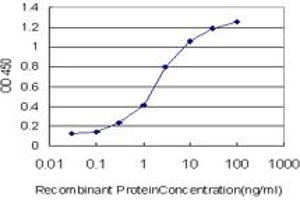 Detection limit for recombinant GST tagged RIPK2 is approximately 0.