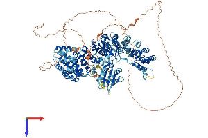 AlphaFold protein structure predicition of Mouse Recombinant Ap3b1 Protein, UniprotID Q9Z1T1
