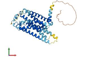 AlphaFold protein structure predicition of Mouse Recombinant Lpar3 Protein, UniprotID Q9EQ31