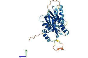 AlphaFold protein structure predicition of Human Recombinant RWDD2A Protein, UniprotID Q9UIY3