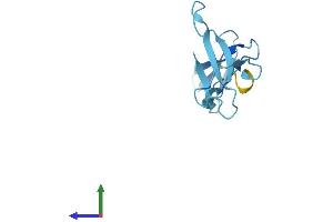 AlphaFold protein structure predicition of Mouse Recombinant Polr3k Protein, UniprotID Q9CQZ7