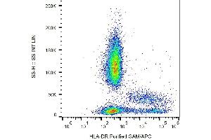 Surface staining of HLA-DR in human peripheral blood with anti-HLA-DR (L243) purified / GAM-APC. (HLA-DR anticorps)