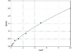 A typical standard curve (p63 Kit ELISA)