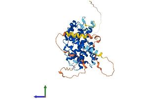 AlphaFold protein structure predicition of Mouse Recombinant Ccnjl Protein, UniprotID Q5SRT8