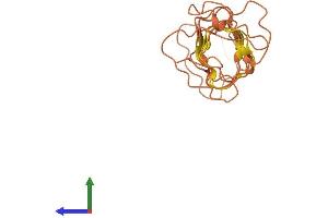 AlphaFold protein structure predicition of Mouse Recombinant Krtap5-2 Protein, UniprotID Q9D5Z7