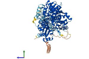 AlphaFold protein structure predicition of Mouse Recombinant Thnsl1 Protein, UniprotID Q8BH55