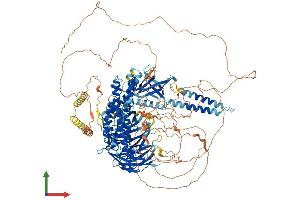 AlphaFold protein structure predicition of Human Recombinant ARHGEF10 Protein, UniprotID O15013