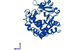 AlphaFold protein structure predicition of Human Recombinant SULT1E1 Protein, UniprotID P49888