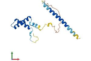 AlphaFold protein structure predicition of Human Recombinant SPA17 Protein, UniprotID Q15506