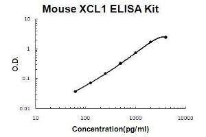 Mouse XCL1/Lymphotactin PicoKine ELISA Kit standard curve (XCL1 Kit ELISA)