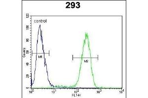 TRSS2 Antibody (N-term) (ABIN391563 and ABIN2841502) flow cytometric analysis of 293 cells (right histogram) coared to a negative control cell (left histogram). (TMPRSS2 anticorps  (N-Term))