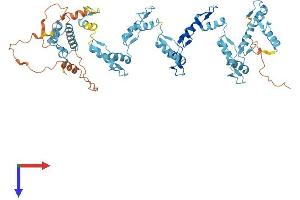 AlphaFold protein structure predicition of Human Recombinant ZNF92 Protein, UniprotID Q03936