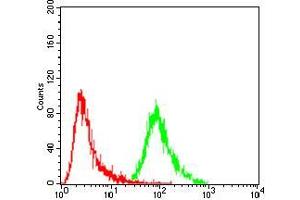 Flow cytometric analysis of A549 cells using ERCC1 mouse mAb (green) and negative control (red).