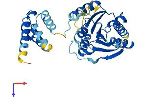 Family with Sequence Similarity 86, Member B1 (FAM86B1) (AA 1-296) protein (His tag)