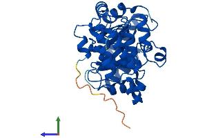 AlphaFold protein structure predicition of Human Recombinant DUS4L Protein, UniprotID O95620