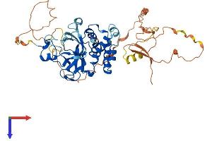 AlphaFold protein structure predicition of Human Recombinant KMT5C Protein, UniprotID Q86Y97