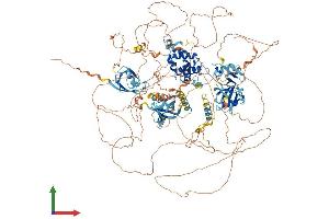 AlphaFold protein structure predicition of Mouse Recombinant Rgs12 Protein, UniprotID Q8CGE9