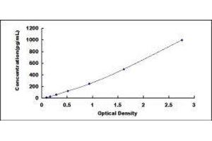 ELISA image for Cyclin D2 (CCND2) ELISA Kit (ABIN414407)