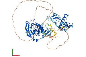 AlphaFold protein structure predicition of Mouse Recombinant Ash2l Protein, UniprotID Q91X20