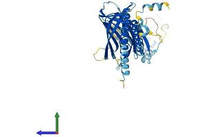 AlphaFold protein structure predicition of Human Recombinant ERGIC3 Protein, UniprotID Q9Y282