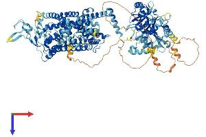 AlphaFold protein structure predicition of Human Recombinant SLC12A7 Protein, UniprotID Q9Y666