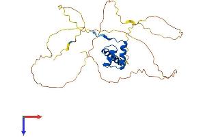 AlphaFold protein structure predicition of Mouse Recombinant Otx2 Protein, UniprotID P80206