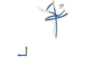 AlphaFold protein structure predicition of Human Recombinant OPTN Protein, UniprotID Q96CV9