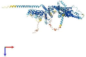 AlphaFold protein structure predicition of Mouse Recombinant Trpc7 Protein, UniprotID Q9WVC5