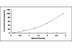 Typical standard curve