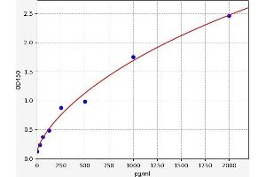 Typical standard curve (NKp44/NCR2 Kit ELISA)