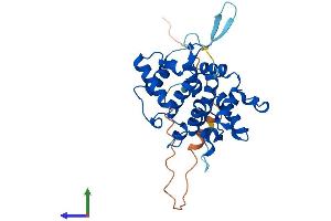 AlphaFold protein structure predicition of Human Recombinant GOLPH3 Protein, UniprotID Q9H4A6