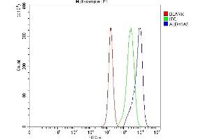 Flow Cytometry analysis of PC-3 cells using anti-ALDH1A3 antibody (ABIN5518802).