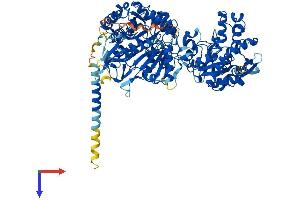 AlphaFold protein structure predicition of Human Recombinant NDST2 Protein, UniprotID P52849