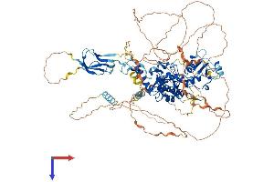 AlphaFold protein structure predicition of Human Recombinant CTDP1 Protein, UniprotID Q9Y5B0
